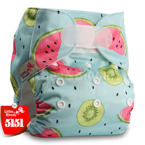[Littles&Bloomz] Baby Washable Reusable Real Cloth STANDARD Hook-Loop Pocket Nappy Diaper Cover Wrap, suits Birth to Potty - Baby Homez